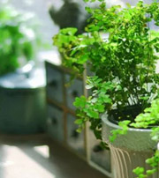 梅州专属于你的开运指南，助你鸿运当头福满身！