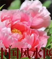 梅州预示你财运上升，姻缘可成的梦境，快来看看吧！