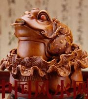 梅州解读金蟾最合适的位置，这样摆放更招财！