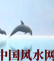 梅州做梦梦到这些，是要富裕的征兆！